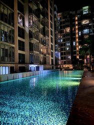 Watertown (D19), Apartment #558556661